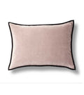 Champagne Velvet with Black piping unique Designer Pillow Cover decorative  All Size Available 16" 18" 20"